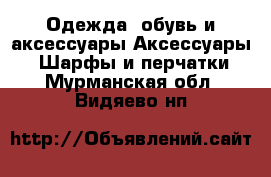 Одежда, обувь и аксессуары Аксессуары - Шарфы и перчатки. Мурманская обл.,Видяево нп